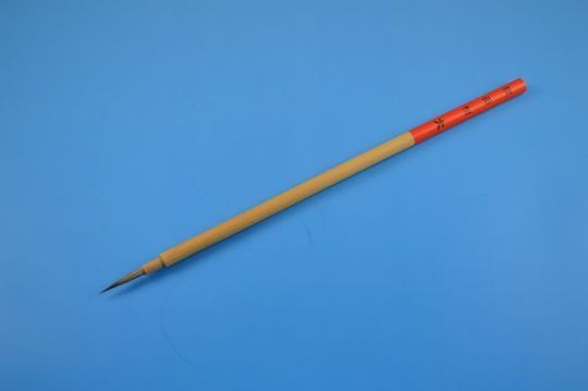狸面相　大.JPG